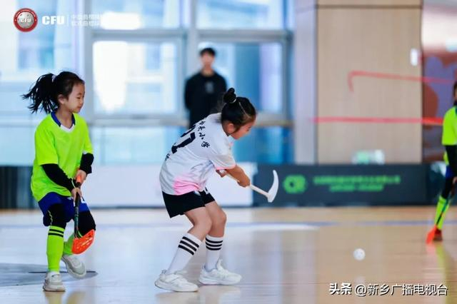 db真人平台-全国冠军！唯一乡村队！来自新乡……|曲棍球|黄河滩区|冰球|米兰冬奥会|球杆_新浪体育_新浪新闻